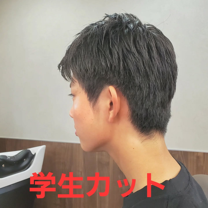 画像291