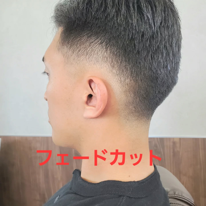 画像295